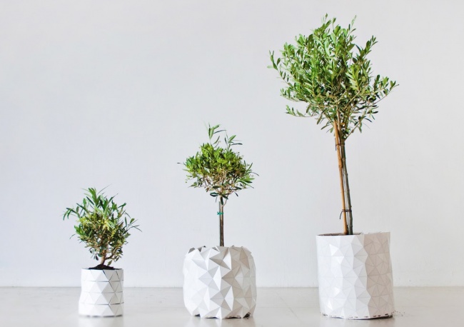 three-tree