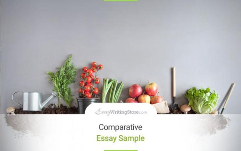 comparative-essay-sample-organic-vs-inorganic-foods